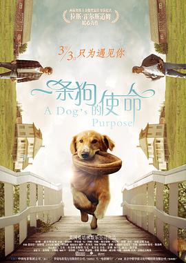 二人生猴子免费观看完整版视频